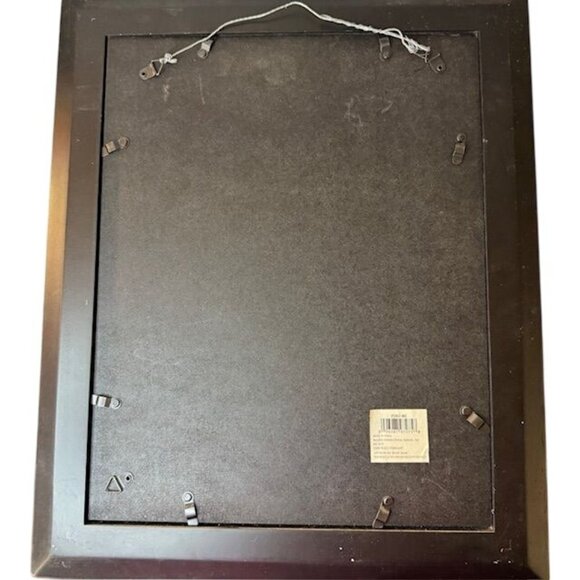 Framed Botanical Print Bird Illustration By Malden International Designs 11x14 D - Picture 4 of 7